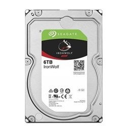 SEAGATE IronWolf 3.5" 6 TB SATA 3 256MB Cache 5400 RPM Nas Disk (ST6000VN001) 