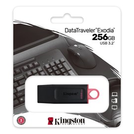 Kingston 256GB Exodia Usb 3.2 Gen1 DTX/256GB Usb Bellek