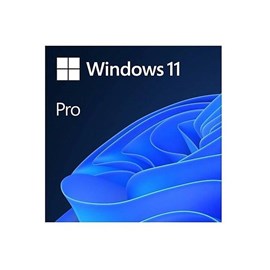 Microsoft Windows 11 Pro Kutu Türkçe HAV-00159