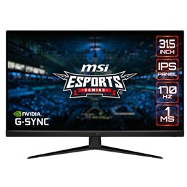 MSI G321Q 31.5" 1MS 170Hz WQHD IPS Gaming Monitör