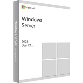Microsoft Windows Server 2022 USER CAL 5 Kullanıcı Türkçe ( R18-06478 )