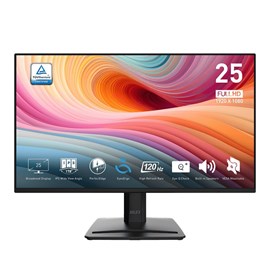 MSI PRO MP252 E2 24.5" 4MS 120Hz Full HD IPS Monitör