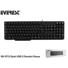 Everest KB-517U USB Türkçe Q Standart Kablolu Siyah Klavye