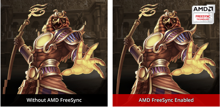 Visual Fluidity with AMD FreeSync