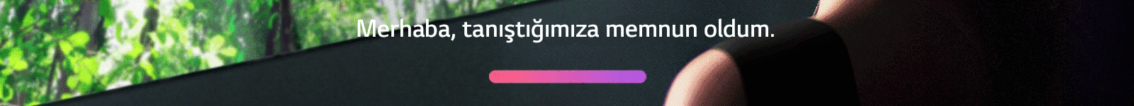 AI_disclaimer_Desktop