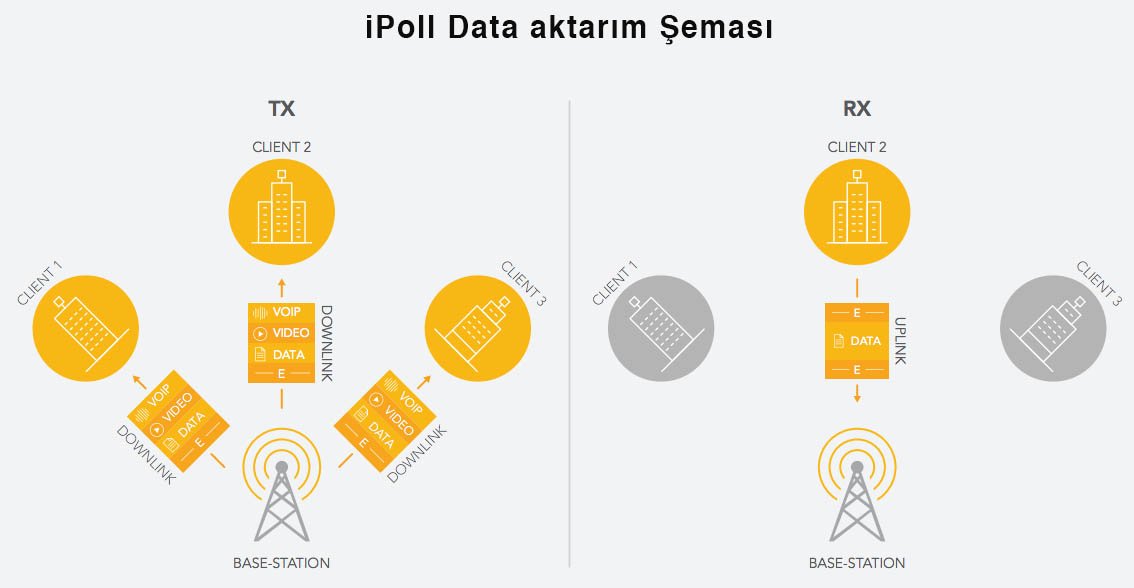 iPoll Data Aktarım Şeması