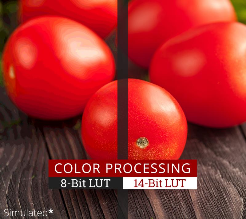 05_colorprocessing_450w.jpg (800×712)