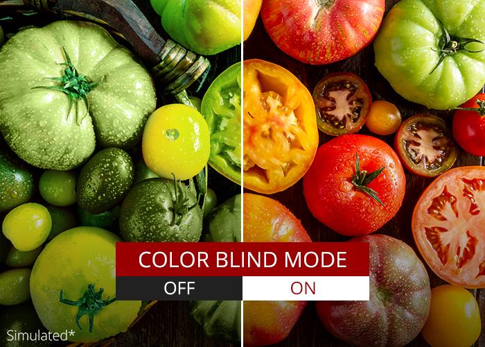 vdisplaymanager-with-color-blindness-mode_700w.jpg (700×500)