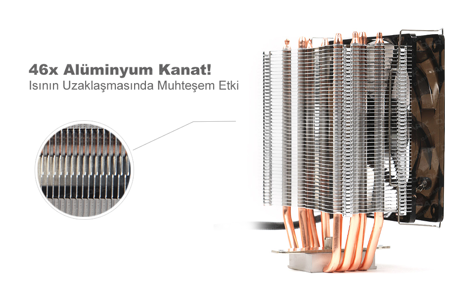 DK-CCX120-icgorsel-04.jpg (950×600)