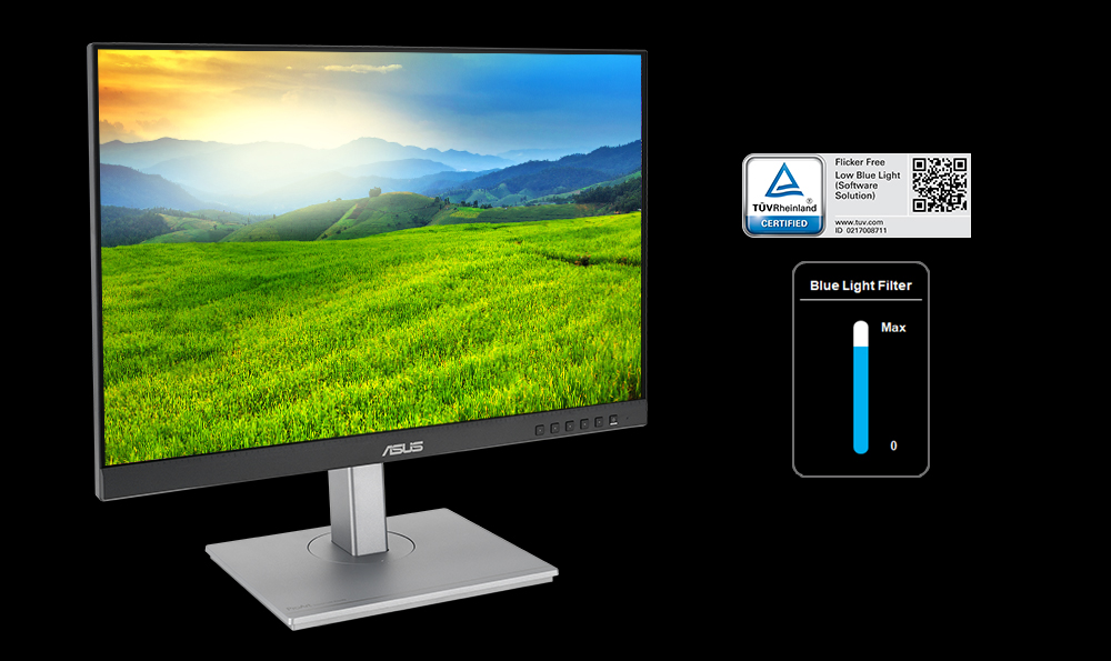 ProArt Display PA248CNV